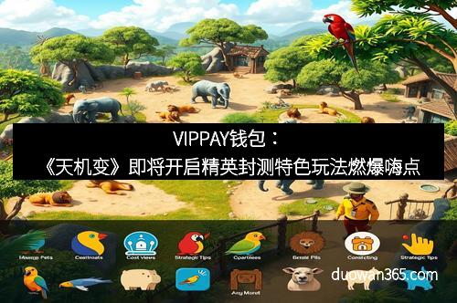 VIPPAY钱包：《天机变》即将开启精英封测特色玩法燃爆嗨点